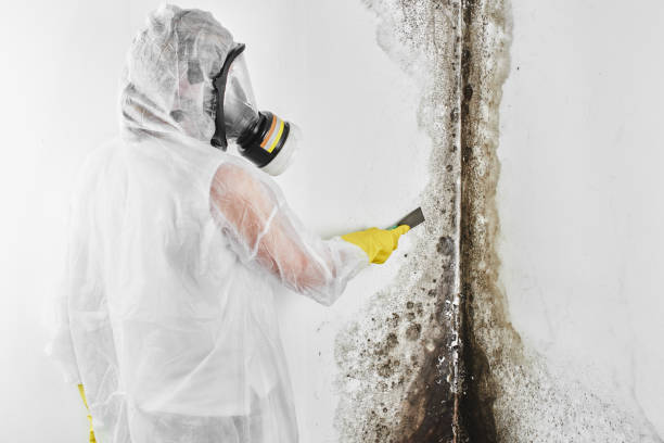 Best Crawl Space Mold Removal  in Crownpoint, NM