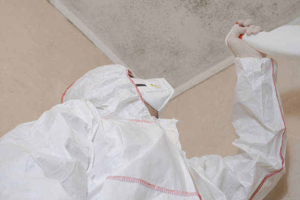Best Mold Removal Company Near Me  in Crownpoint, NM