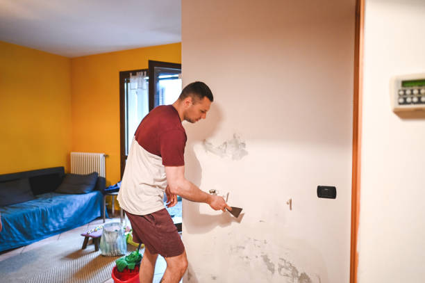 Trusted Crownpoint, NM Mold Removal Experts