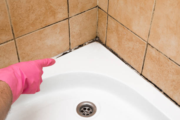 Best Mold Testing  in Crownpoint, NM